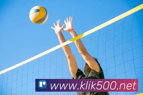 App Interface Preview